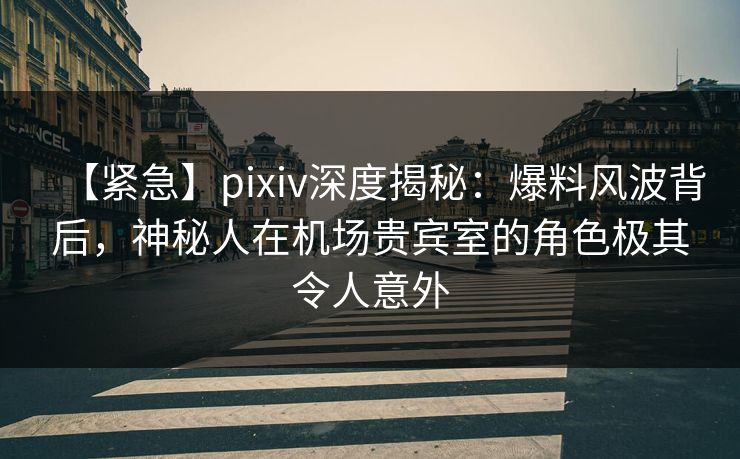 【紧急】pixiv深度揭秘：爆料风波背后，神秘人在机场贵宾室的角色极其令人意外