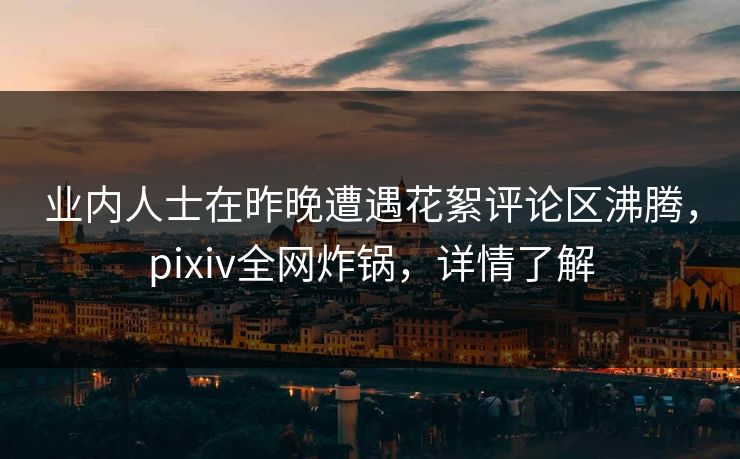 业内人士在昨晚遭遇花絮评论区沸腾，pixiv全网炸锅，详情了解