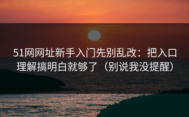 51网网址新手入门先别乱改：把入口理解搞明白就够了（别说我没提醒）