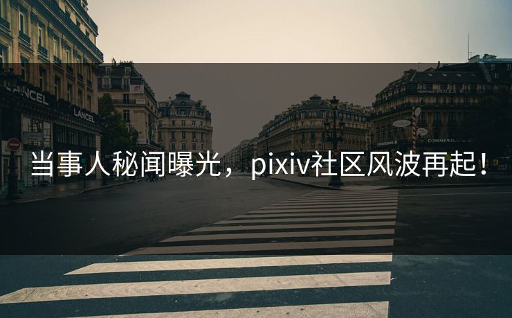当事人秘闻曝光，pixiv社区风波再起！