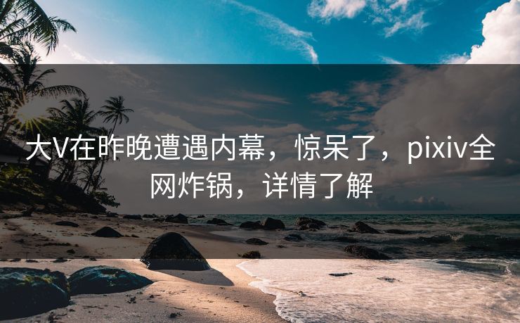 大V在昨晚遭遇内幕，惊呆了，pixiv全网炸锅，详情了解